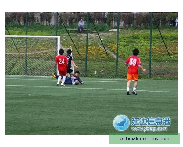 世界杯官方纪录片全景呈现足球激情与历史瞬间的精彩制作